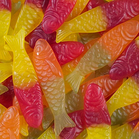 Winegum vissen